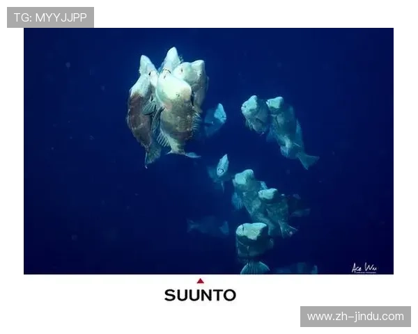 博鱼网址平台特色介绍，丰富的游戏种类和优质的用户服务体验