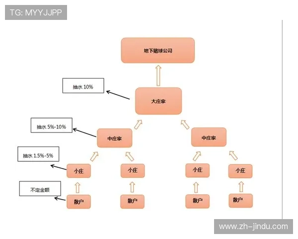 大庄家平台：深度剖析平台的技术优势与创新发展路径